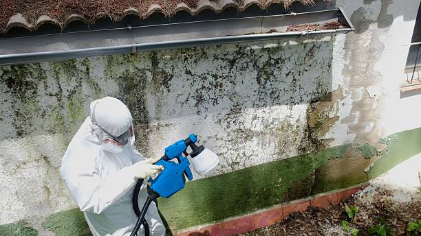 Top rated local Mold Remediation specialists in Gwynedd Valley, PA